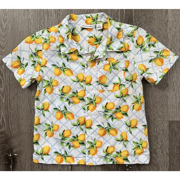Janie and Jack 2T Boys‎ Lemon Print Button Down shirt - Picture 3 of 7